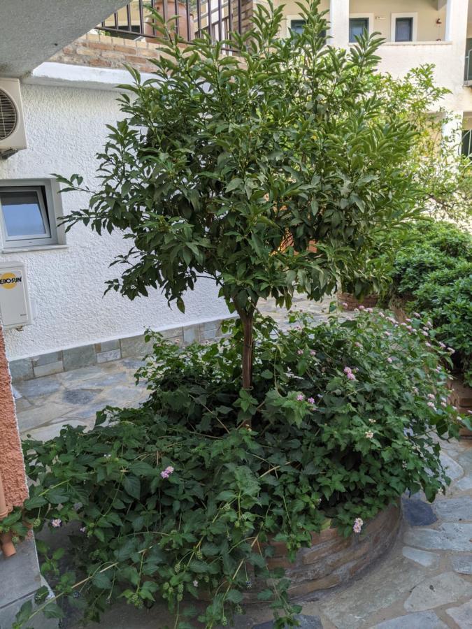 Hotel Omirico Гувия Екстериор снимка